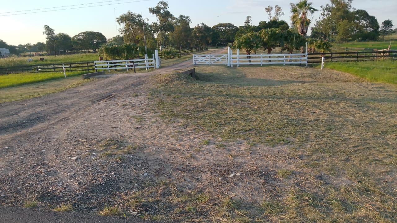 El Yarará - Imagen